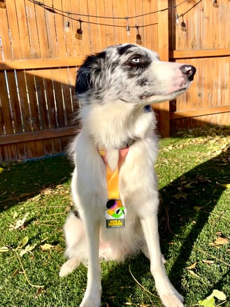 Finn wearing the 2022 Hug A Runner Medal