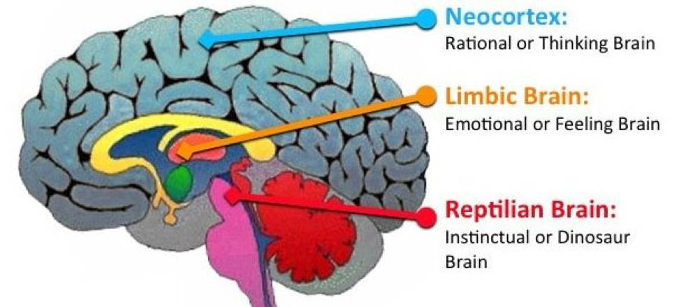 The Psychology Behind Training For Your First Race