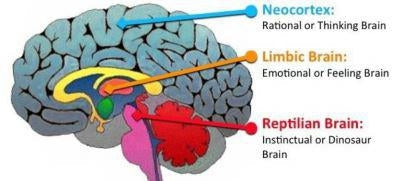 Your First Race & The Psychology Behind Training For It
– Run The Edge®